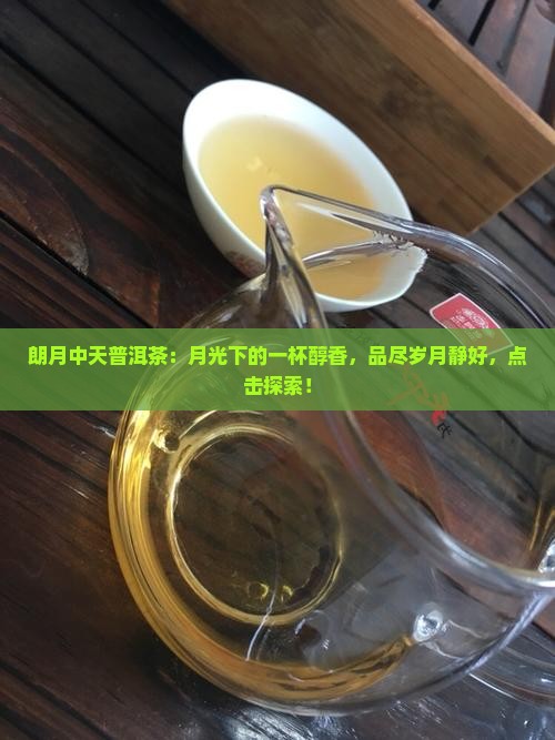 朗月中天普洱茶