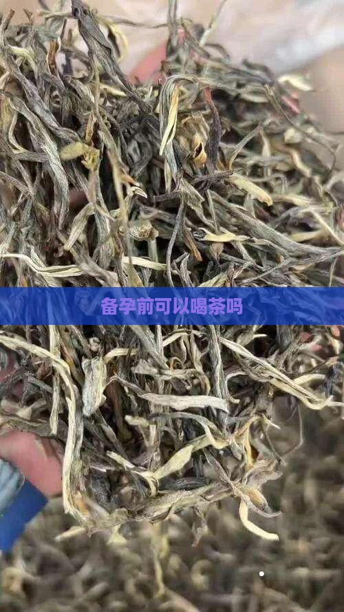 备孕前可以喝茶吗