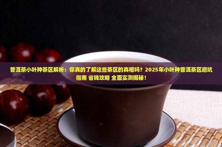 普洱茶小叶种茶区