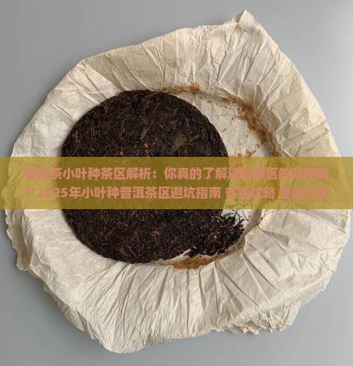 普洱茶小叶种茶区