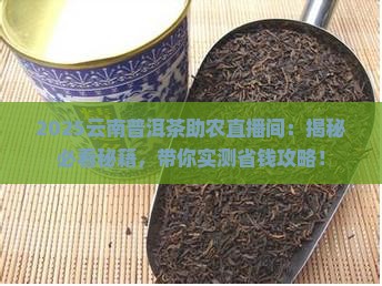 云南普洱茶助农直播间