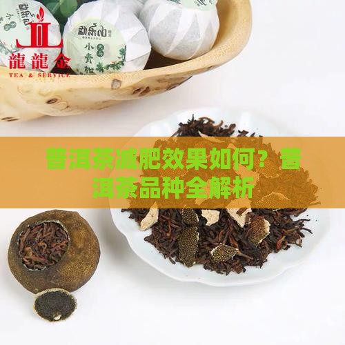 普洱茶有几个品种喝普洱茶会瘦吗