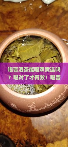 喝普洱茶能喝双黄连吗