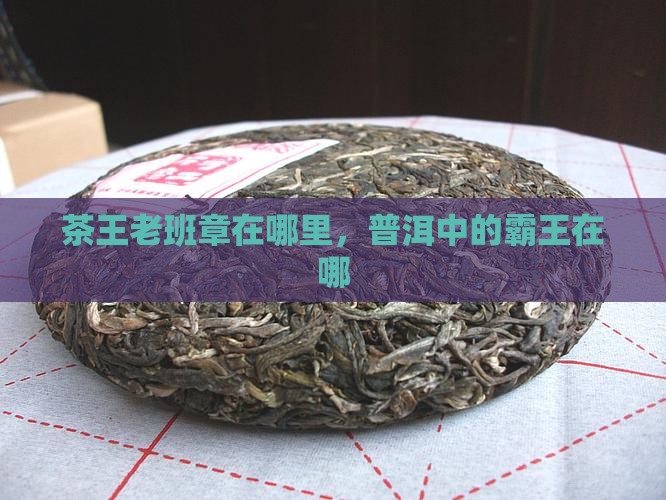 茶王老班章在哪里