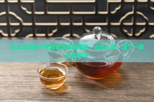 自来水静置一夜泡普洱茶