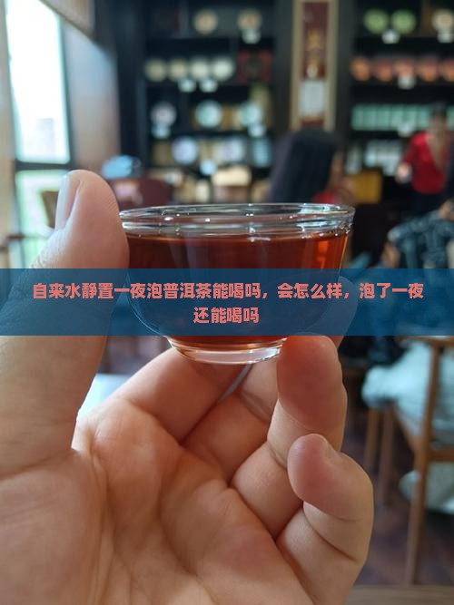 自来水静置一夜泡普洱茶