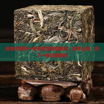 自来水静置一夜泡普洱茶