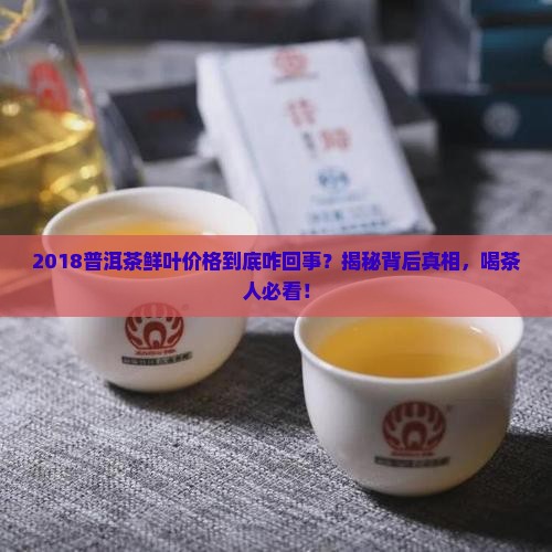 2018普洱茶鲜叶价格