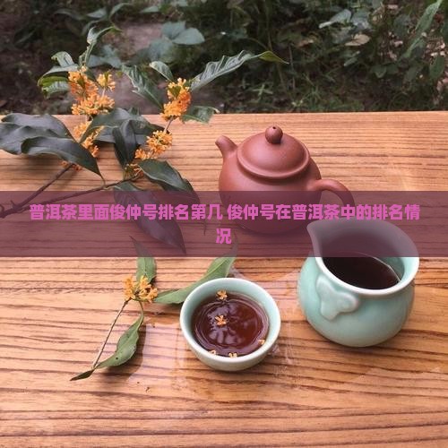 普洱茶里面俊仲号排名第几