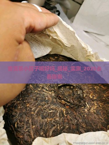 普洱茶小孩子喝好吗