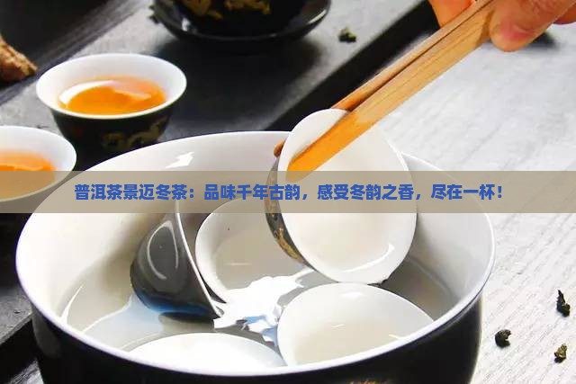 普洱茶景迈冬茶