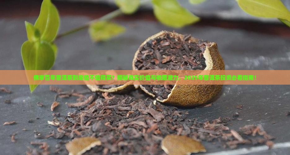 佛家百年普洱茶