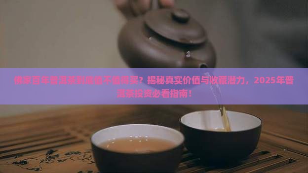 佛家百年普洱茶