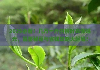 几万一斤的茶叶怎么品