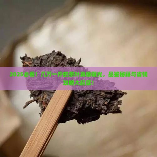 几万一斤的茶叶怎么品