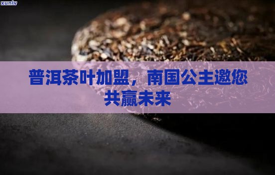 怀化南国公主普洱茶加盟