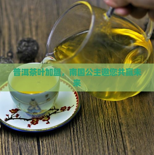 怀化南国公主普洱茶加盟