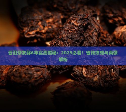 普洱茶发酵6年