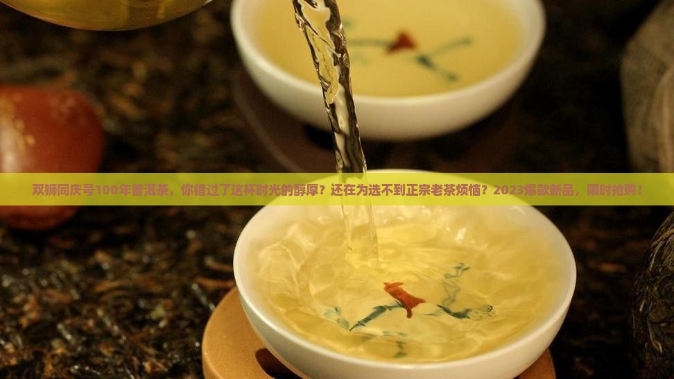 双狮同庆号100年普洱茶