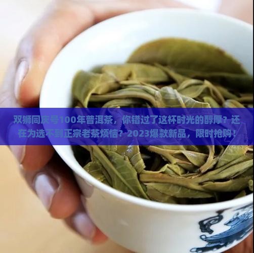 双狮同庆号100年普洱茶