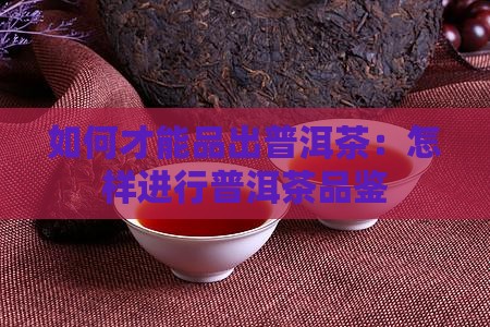 如何才能品出普洱茶
