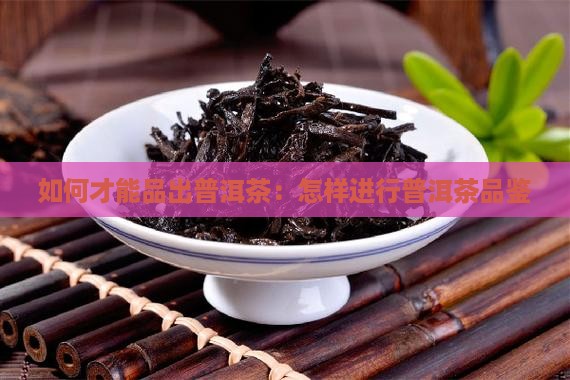 如何才能品出普洱茶