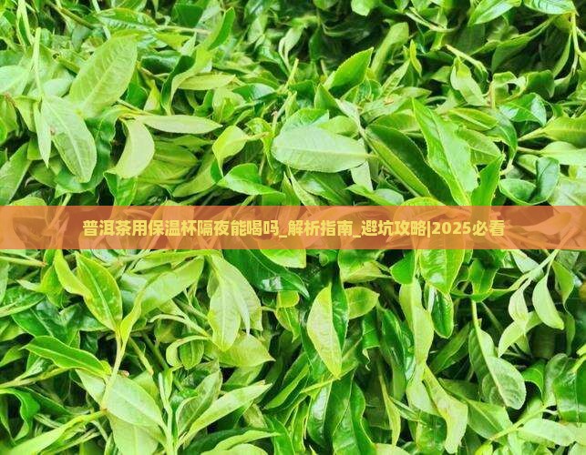 普洱茶用保温杯隔夜能喝吗 普洱茶用保温杯隔夜能喝吗