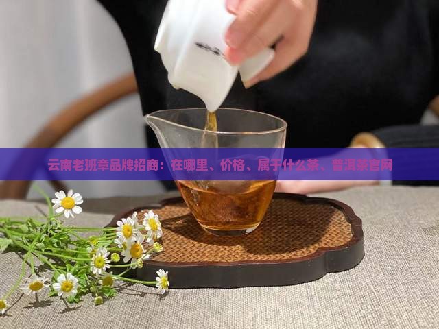 云南老班章品牌招商 云南老班章品牌招商