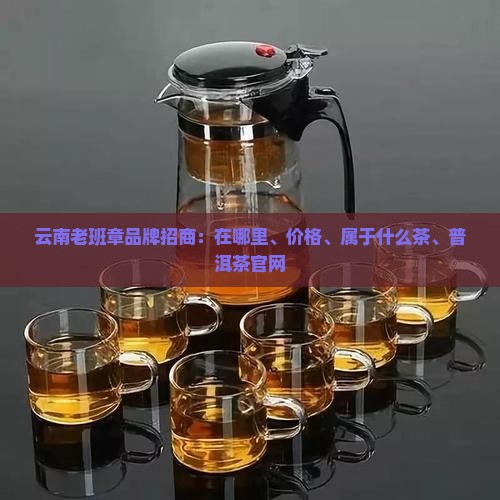 云南老班章品牌招商 云南老班章品牌招商