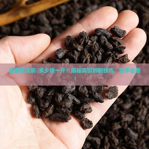 云南普洱茶磗多少钱一斤 云南普洱茶磗多少钱一斤