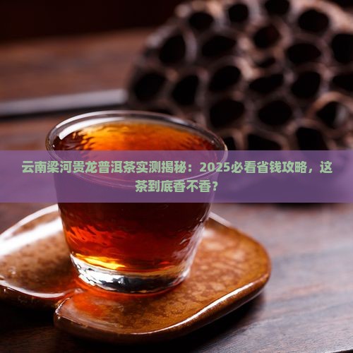 云南梁河贵龙普洱茶