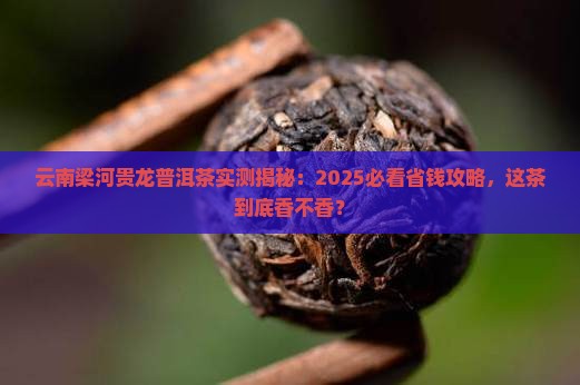云南梁河贵龙普洱茶