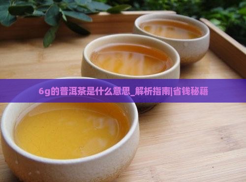 6g的普洱茶是什么意思