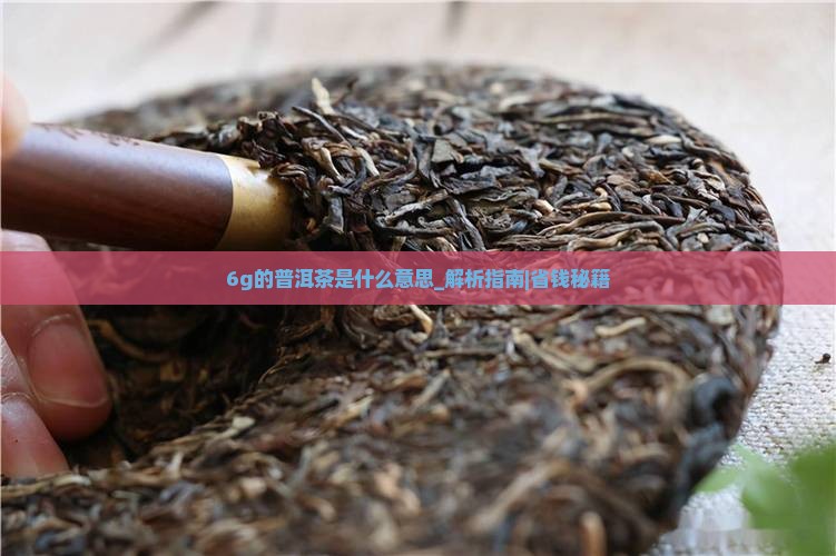 6g的普洱茶是什么意思