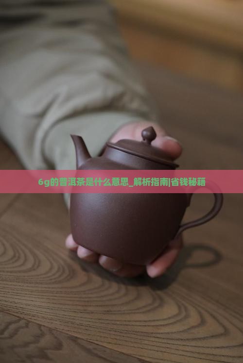 6g的普洱茶是什么意思