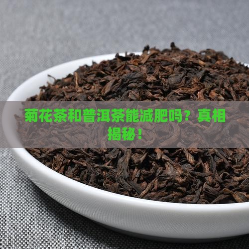 菊花茶和普洱茶能减肥吗