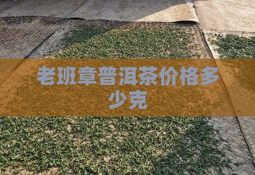 极品老班章一个人多少克