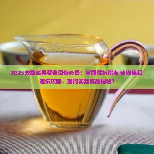去勐海县怎么买普洱茶