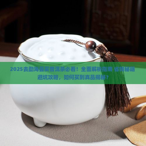 去勐海县怎么买普洱茶