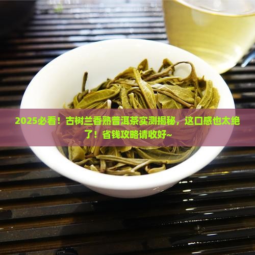 古树兰香熟普洱茶