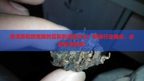 普洱茶和螃蟹脚的区别