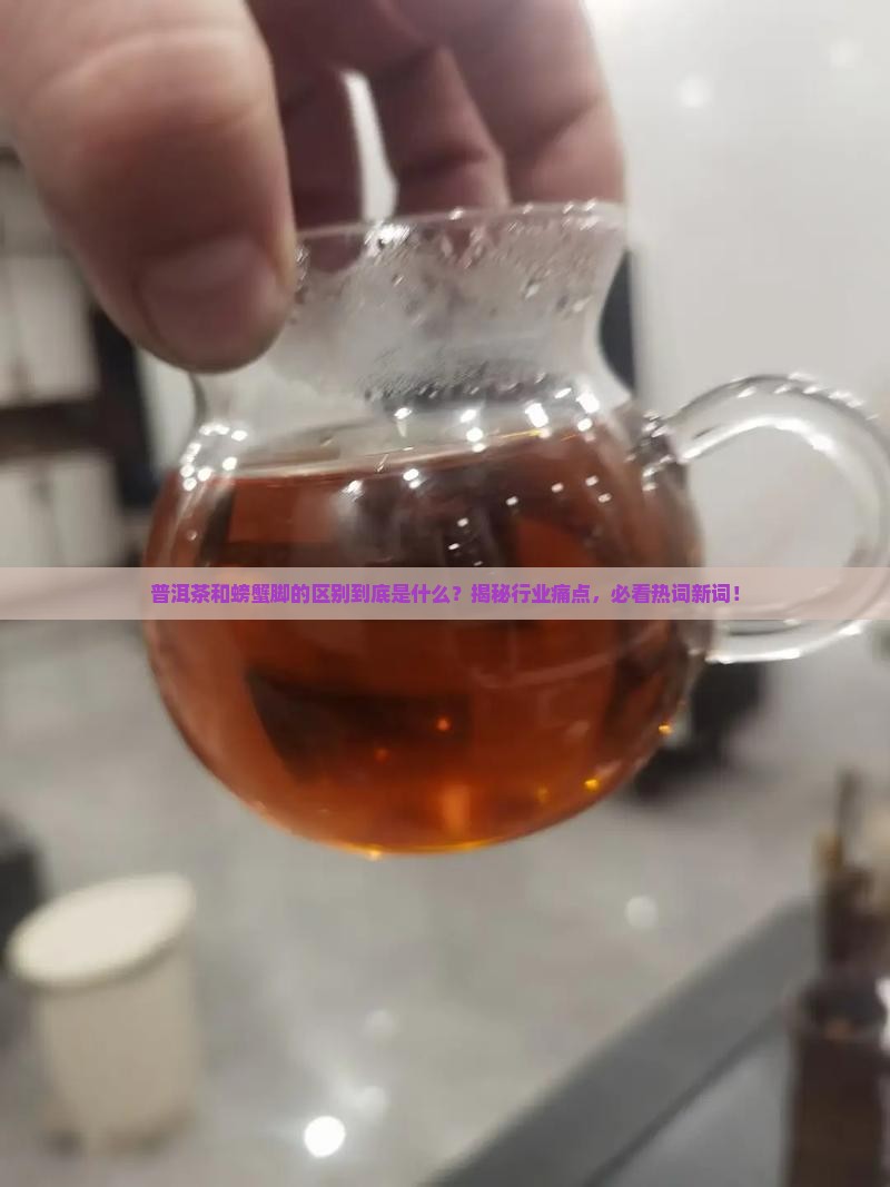普洱茶和螃蟹脚的区别