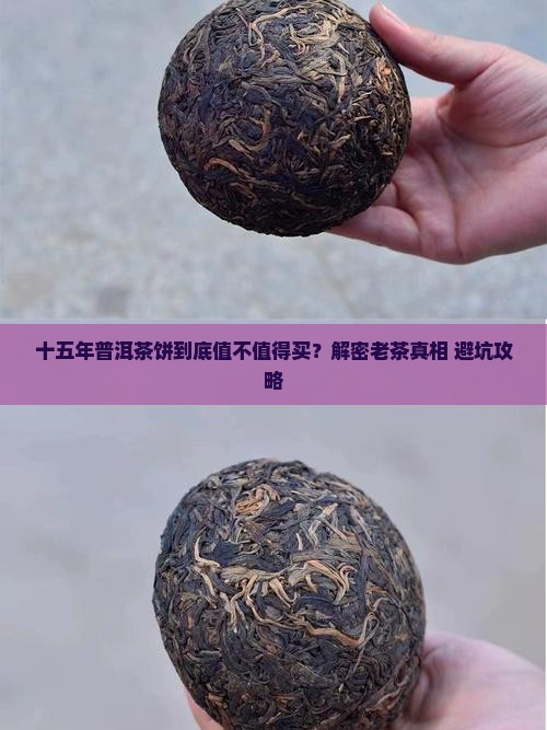 普洱茶饼十五年