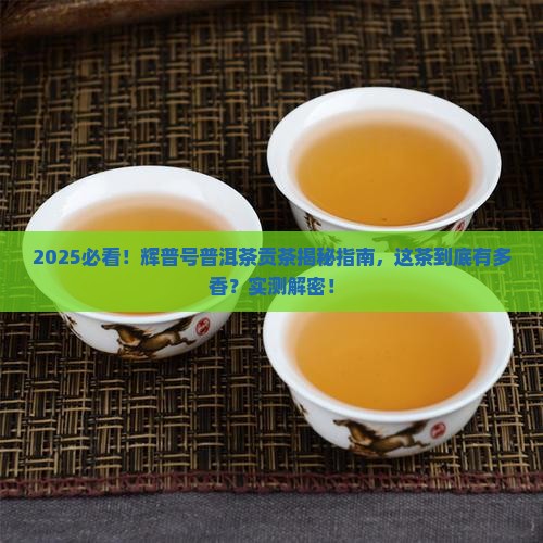 辉普号普洱茶贡茶