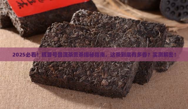 辉普号普洱茶贡茶