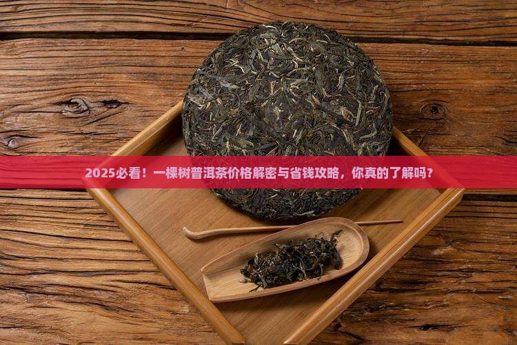 一棵树普洱茶多少钱