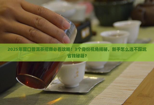 营口普洱茶招商
