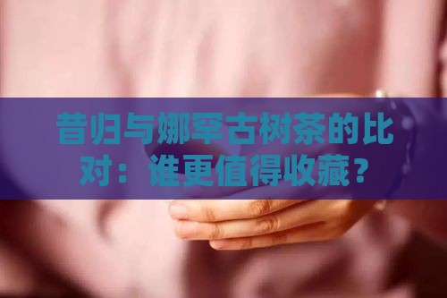 昔归与娜罕古树茶的比对