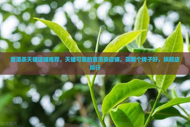 普洱茶天猫店铺推荐