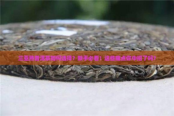 三亚熟普洱茶如何选择